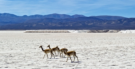 circuito-humahuaca-salinas-grandes.jpg