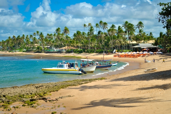 Praia Do Forte + Playa De Guarajuba טיול חופים